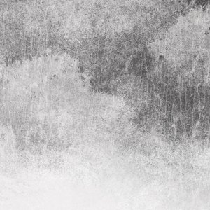 外国舔老女人阴道
