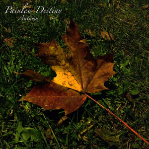 外国舔老女人阴道
